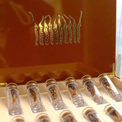 Thượng Phẩm Hoàng Đông