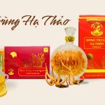 Thượng Phẩm Hoàng Đông