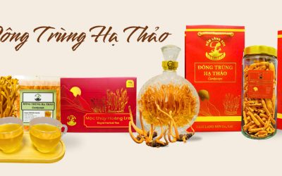 Thượng Phẩm Hoàng Đông